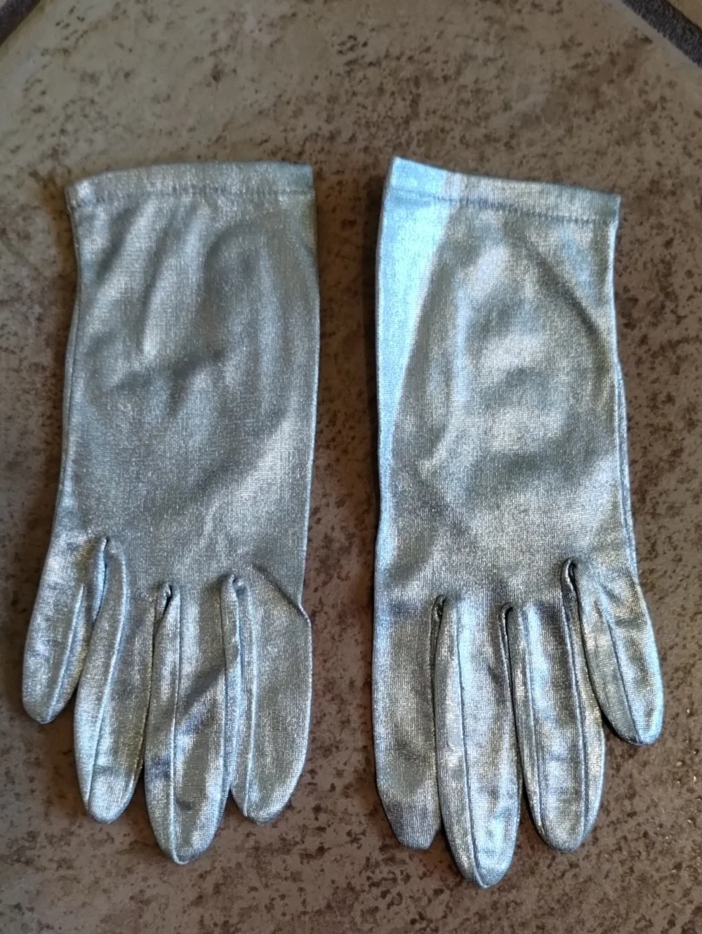 Metallic Silver Gloves